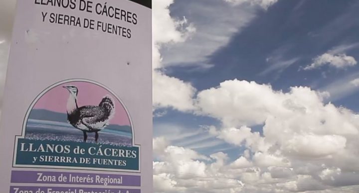 Descubre nuestro entorno, los Llanos de Cáceres