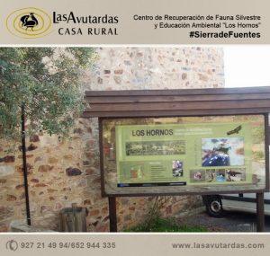 Centro de recuperación de aves en Sierra de Fuentes