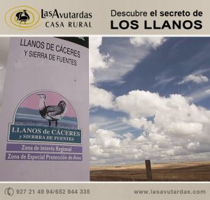 El secreto de los llanos de Cáceres